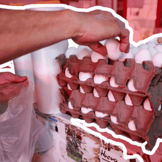 ¿Es bueno comer huevo todos los días?