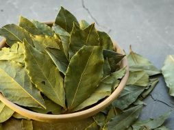 El laurel es un acompañante óptimo del descanso. Foto de okeykat en Unsplash