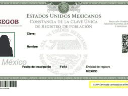 La CURP contará con fotografía, huellas dactilares y firma digital, además de datos personales como nombre, fecha y lugar de nacimiento lo que funcionará como una nueva identificación oficial. ESPECIAL