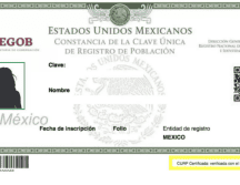 La CURP contará con fotografía, huellas dactilares y firma digital, además de datos personales como nombre, fecha y lugar de nacimiento lo que funcionará como una nueva identificación oficial. ESPECIAL