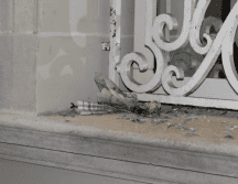 la Secretaría de Relaciones Exteriores se solidarizó con Cuba por el ataque terrorista a su embajada en Washington. ESPECIAL/ @Cancillería de Cuba.