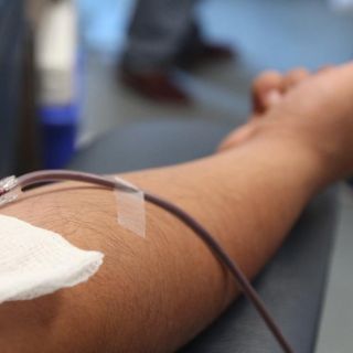 Día Nacional de la Donación de Órganos: ¿por que se celebra este 26 de septiembre?