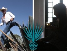 Del total de producción, 280.7 millones de litros fueron exportados, hasta agosto de 2023; 182.4 millones de litros de tequila 100% de agave y 98.3 millones de litros de tequila. EL INFORMADOR / ARCHIVO