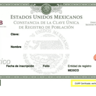 ¿Para qué servirá la nueva CURP con fotografía y huellas dactilares?