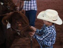 Habrá distintos eventos en la Expo Ganadera para toda las edades. EL INFORMADOR/ EL ARCHIVO.