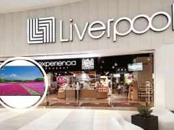 A pesar de que ya pasaron las fiestas decembrinas, la tienda departamental Liverpool sigue con los grandes rebajas y durante su Gran Barata de Invierno han bajado sus precios en diferentes artículos. ESPECIAL