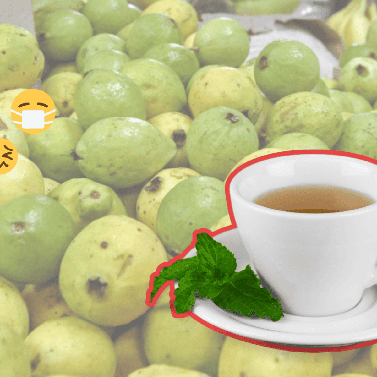 Salud: Así puede ayudarte el té de hoja de guayaba