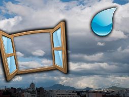 Muchos adoran el aroma que deja la lluvia luego de entrar en contacto con la tierra y la vegetación. NTX / ARCHIVO