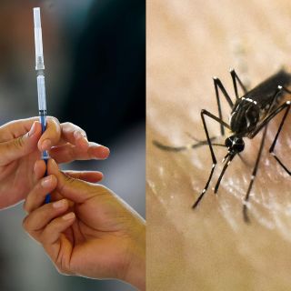 La OMS recomienda la primera vacuna contra el dengue