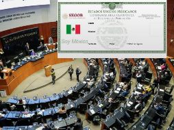 El Senado votará una ley que reforma la CURP que conocemos. ESPECIAL / SUN y SRE