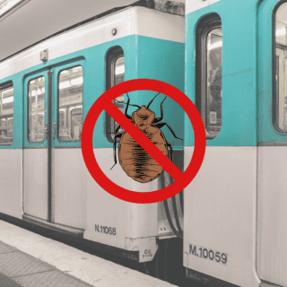 Gobierno de Francia niega casos confirmados de chinches en metro o trenes