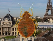 Los Juegos Olímpicos podrían ser la ocasión ideal para la infestación por parte de estos insectos que adoran a las multitudes. ESPECIAL / AFP