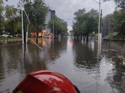 La tormenta tropical 