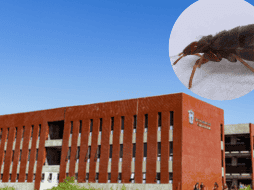 Aseguró, las chinches ya fueron erradicadas. Especial/Preparatoria de Tlajomulco en San José del Valle