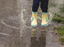 Las lluvias estarán acompañadas con descargas eléctricas y posible caída de granizo. ESPECIAL / K. BROWN EN UNSPLASH