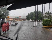 Ante las amenazas de huracanes necesitas estar preparado y seguir las recomendaciones de Protección Civil. EL INFORMADOR/ ARCHIVO.