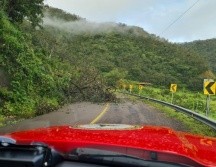 La carretera que va de Autlán de Navarro a Villa Purificación se encuentra cerrada por deslaves, igual que la Carretera Federal 80, mientras que la Carretera Federal 200, sobre Puerto Vallarta, también tenía algunas obstrucciones. ESPECIAL / PC Jalisco