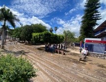 En el Centro Universitario de la Costa (CUCosta) hubo inundaciones y caída de más de 30 árboles y postes con lámparas en su sede de Puerto Vallarta y en la Escuela de Arte Culinario. CORTESÍA