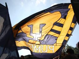 Desde hoy y hasta el próximo 3 de noviembre, la Junta de Gobierno se reunirá con los diez aspirantes a la Rectoría para conocer sus planes de trabajo. SUN / ARCHIVO