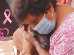 La atención veterinaria oportuna y especializada es esencial para el tratamiento exitoso del cáncer de mama en perras. SUN / ARCHIVO