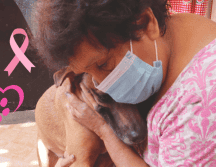 La atención veterinaria oportuna y especializada es esencial para el tratamiento exitoso del cáncer de mama en perras. SUN / ARCHIVO