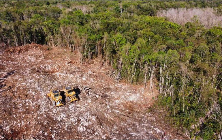 Aunque se aseguró que la obra se desarrollaría paralela a la carretera, al final las autoridades cambiaron el trazado para mandarlo justo en medio de la selva. SUN / ARCHIVO
