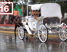 Las lluvias estarán acompañadas con descargas eléctricas y posible caída de granizo. EL INFORMADOR / ARCHIVO