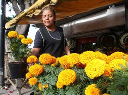 En China e India se cultiva para la producción de colorantes, concretamente carotenoides. EL INFORMADOR / ARCHIVO