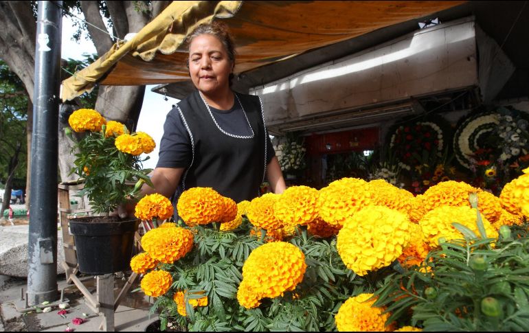 En China e India se cultiva para la producción de colorantes, concretamente carotenoides. EL INFORMADOR / ARCHIVO