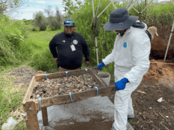 La Fiscalía de Jalisco confirmó esta tarde que oficialmente ya inició el procesamiento del predio de Tlaquepaque donde Madres Buscadoras localizaron un crematorio clandestino. ESPECIAL/ Fiscalía