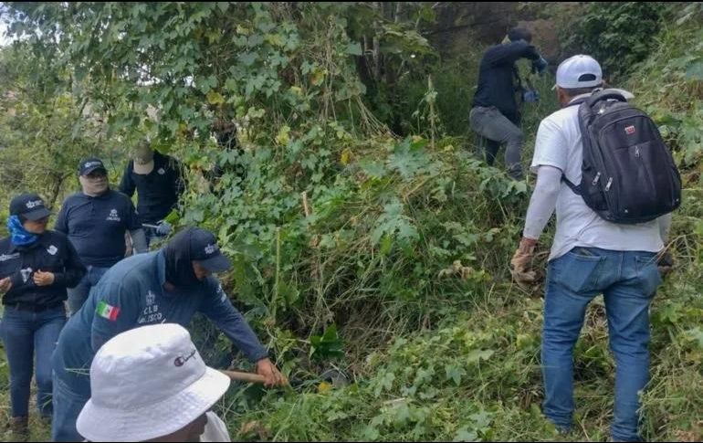 El hallazgo fue realizado por miembros del colectivo 
