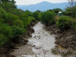 Se encontraron similitudes relevantes como: agricultura, urbanización, cambio de uso del suelo, deforestación, ocupación del territorio del arroyo, desechos sólidos, aumento en la escorrentía y desbordamiento, entre otros. ESPECIAL