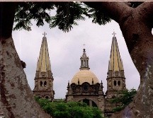 Tan sólo el 11% de Guadalajara corresponde a áreas verdes. EL INFORMADOR/ ARCHIVO