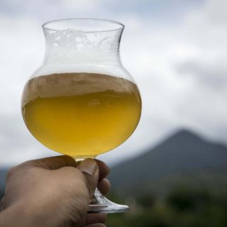 Expo Cerveza México 2023: esta es la fecha, sede y costos