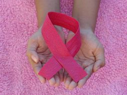 Cada año más de 462 mil mujeres son diagnosticadas con esta enfermedad y casi 100 mil mueren a causa de ella tan solo en América. ESPECIAL / Foto de Angiola Harry en Unsplash