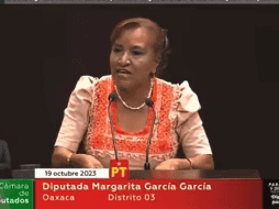 Los diputados aprobaron en lo general con 260 votos a favor y 195 en contra. ESPECIAL