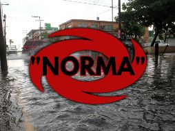 EL INFORMADOR / ARCHIVO