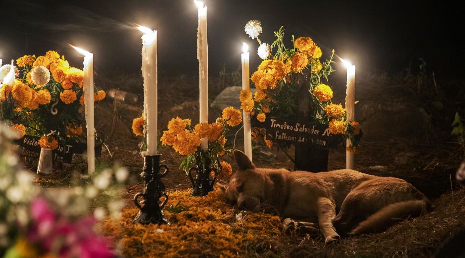 México celebra el 1 y 2 de noviembre a Todos lo Santos y a los Fieles Difuntos. AFP / ARCHIVO