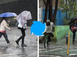 En el transcurso del día lunes, 