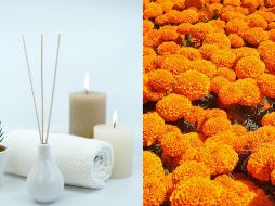 El primer paso será lavar las flores de cempasúchil con cuidado y calentar el agua destilada con varios pétalos durante 10 minutos. ESPECIAL