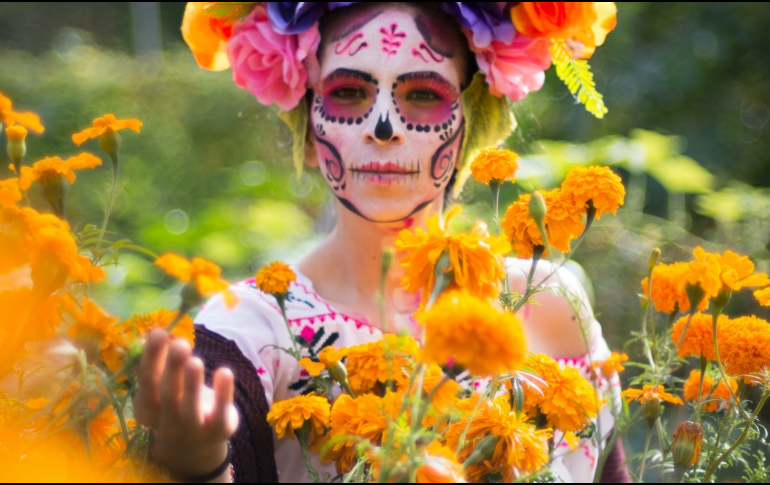 Atrévete a disfrutar un recorrido en el Campo de Cempasúchil muy cerca de Guadalajara. Pexels.