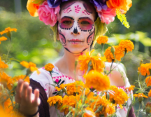 Atrévete a disfrutar un recorrido en el Campo de Cempasúchil muy cerca de Guadalajara. Pexels.