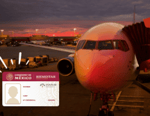 Existen tres aerolíneas mexicanas que dan descuento a la credencial INAPAM y así puedes obtenerlo. ESPECIAL/ Pexels.