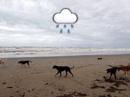 Para hoy, la depresión tropical 