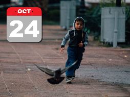 Para el estado de Jalisco se tendrá tiempo estable en la mayor parte de la región, salvo el sur del Estado, donde se espera algo de precipitación dispersa al finalizar la tarde. EL INFORMADOR / ARCHIVO