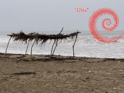 Se espera que el huracán 