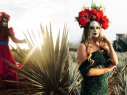 En El Castillo de Tequila y el centro de Huaxtla se realizarán actividades imperdibles en el marco del Día de Muertos 2023. ESPECIAL.
