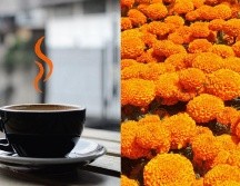 Los autores mencionan, que se ha comprobado que realmente el cempasúchil tiene la capacidad de aliviar a ciertas enfermedades. ESPECIAL / UNSPLASH