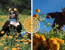 Un acompañamiento del Día de Muertos es la flor de cempasúchil. SUN / ARCHIVO