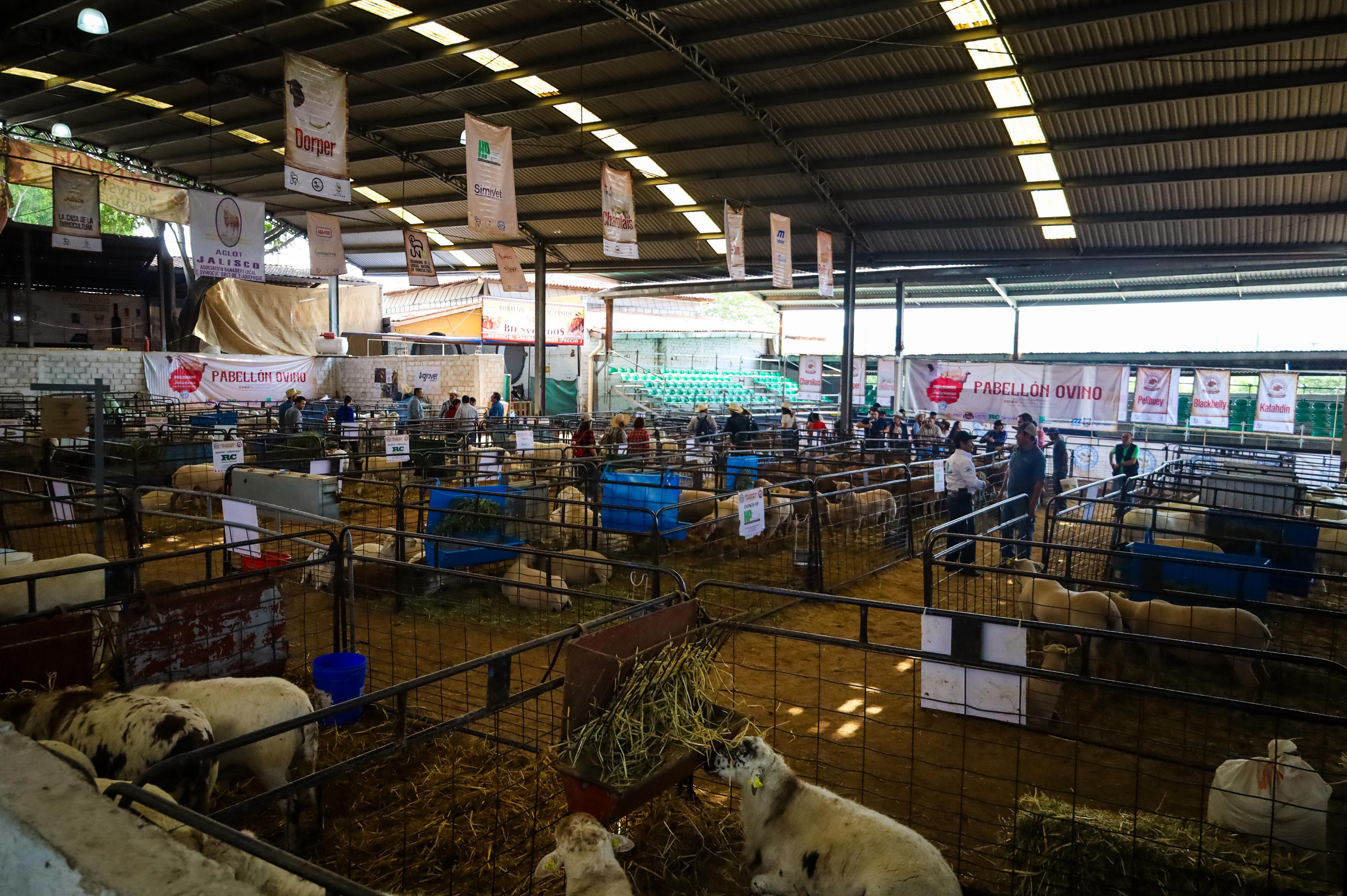 Expo Ganadera se ha consolidado como una feria con bastante reconocimiento. EL INFORMADOR/A.Navarro